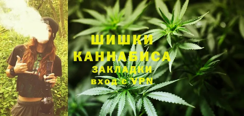 Шишки марихуана THC 21%  ОМГ ОМГ ССЫЛКА  Курильск 